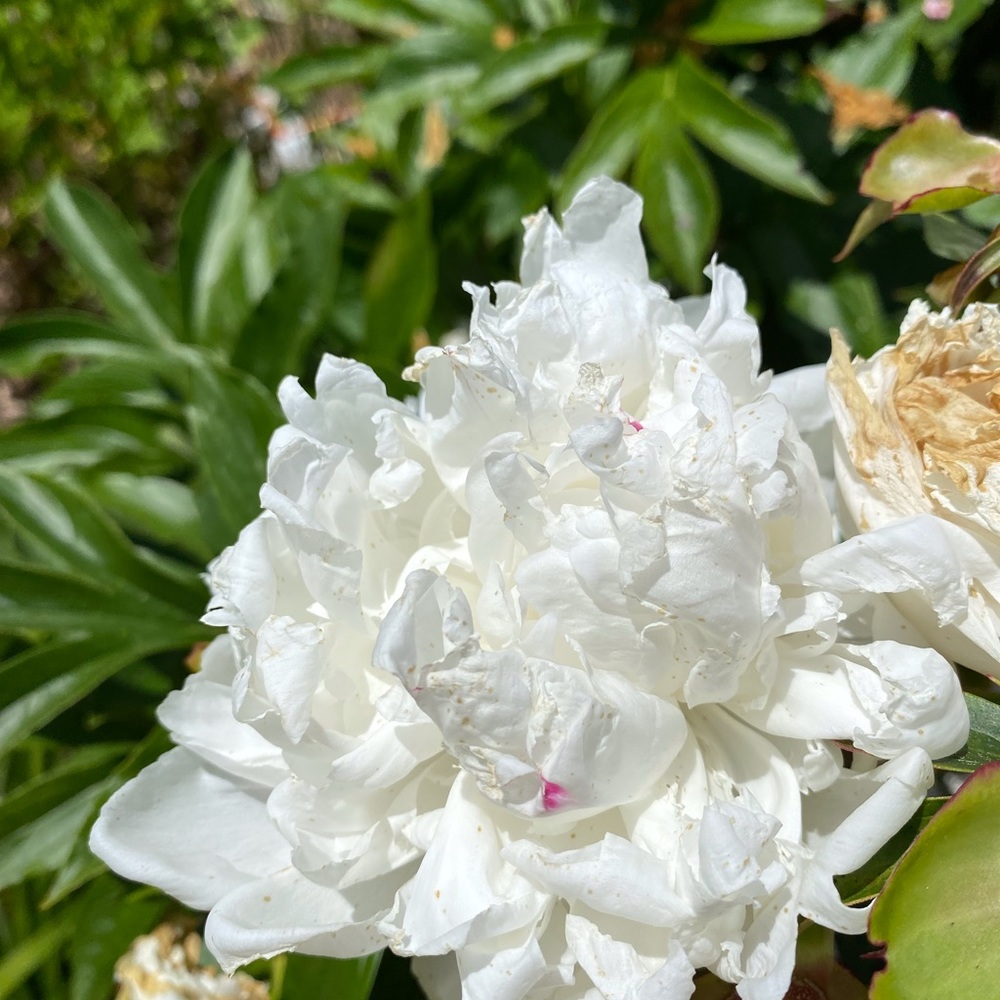 Meet your Posher, Cathy